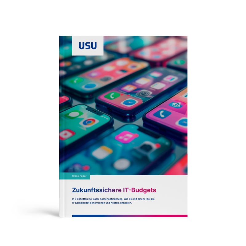 Cover Zukunftssichere IT Budgets Whitepaper